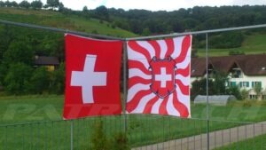 Operation #flaggenstolz