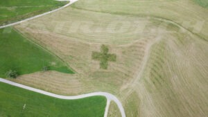 Steinhuserberg Schweizerkreuz
