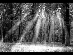 Suleviae - Helvetii