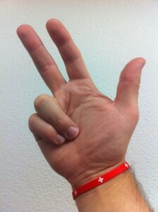 Rütlischwur, linke oder rechte Hand ?